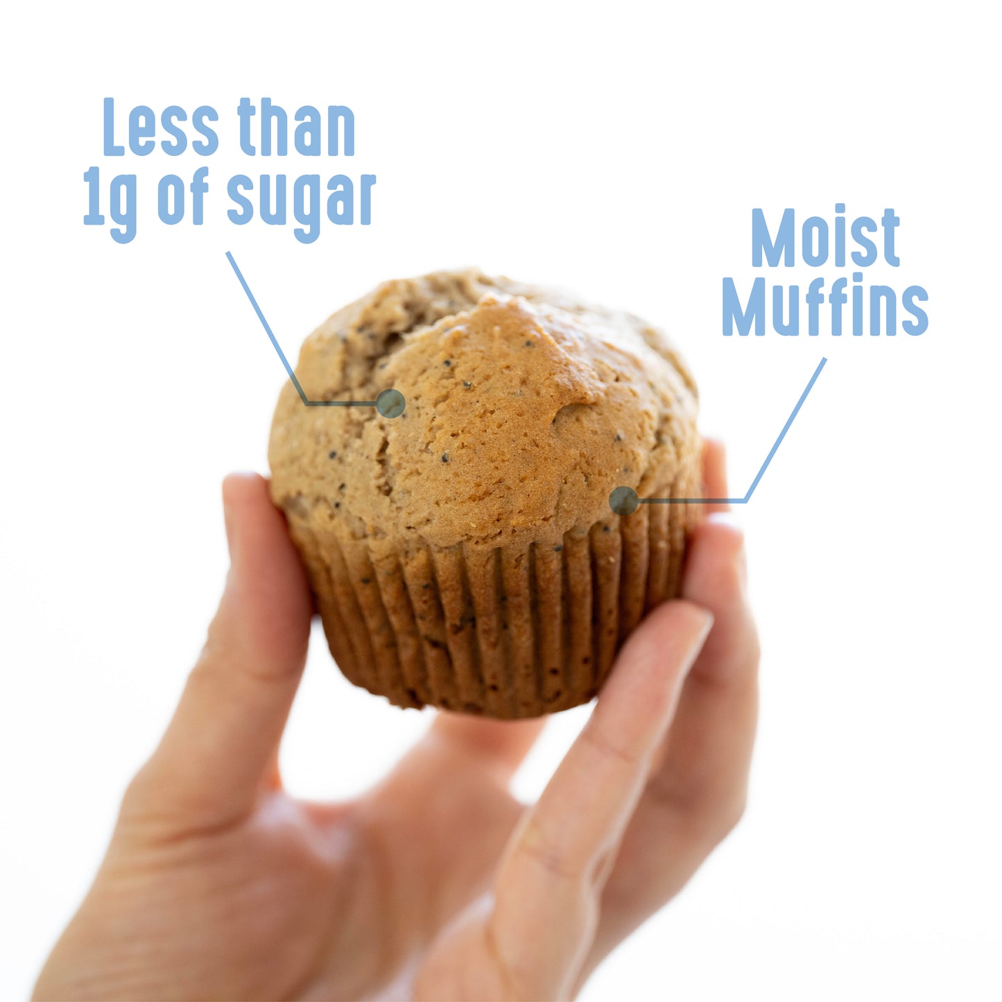 Gluten Free Lemon Poppy Seed Muffin Mix